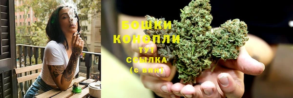 сатива Костерёво