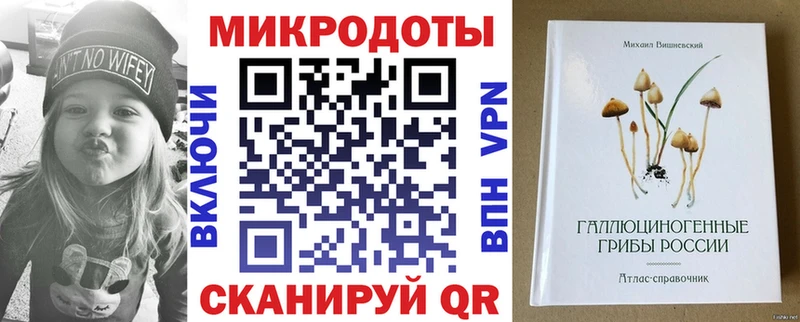 Псилоцибиновые грибы Psilocybe  Купить где  Алзамай 